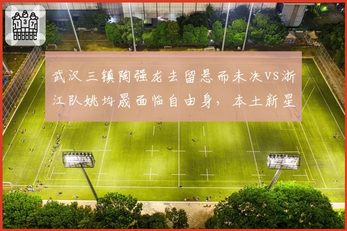 武汉三镇陶强龙去留悬而未决vs浙江队姚均晟面临自由身,本土新星沉浮轨迹呈现反差