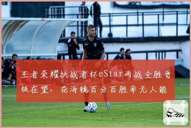 王者荣耀挑战者杯eStar两战全胜晋级在望，花海镜百分百胜率无人能解