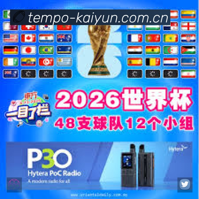 安全使用与支持流程